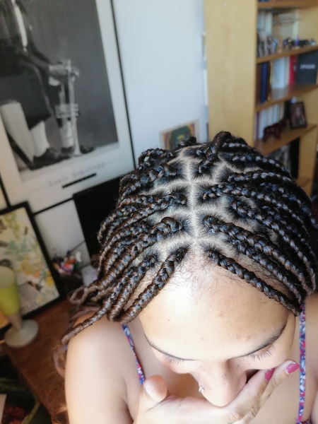 salon de coiffure afro tresse tresses box braids crochet braids vanilles tissages paris 75 77 78 91 92 93 94 95 GPSDJVTN