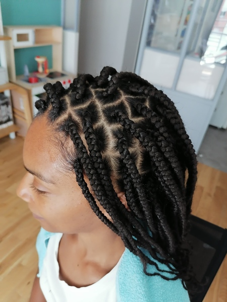 salon de coiffure afro tresse tresses box braids crochet braids vanilles tissages paris 75 77 78 91 92 93 94 95 TRGPHHIB