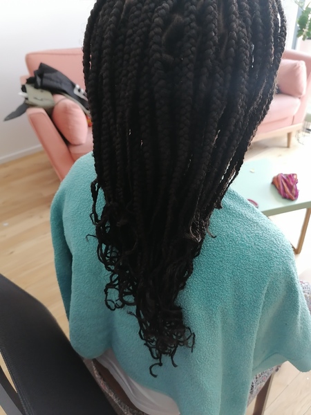 salon de coiffure afro tresse tresses box braids crochet braids vanilles tissages paris 75 77 78 91 92 93 94 95 DBJCKLJH