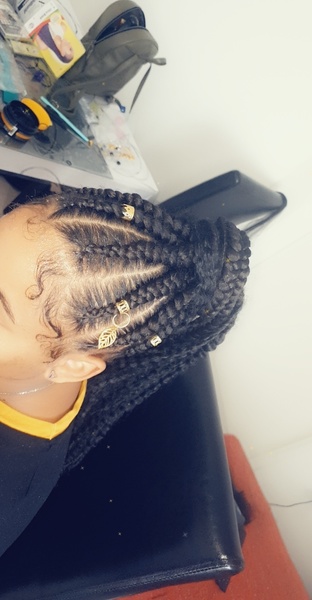 salon de coiffure afro tresse tresses box braids crochet braids vanilles tissages paris 75 77 78 91 92 93 94 95 EDKEMVXG