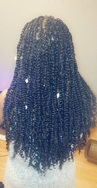 salon de coiffure afro tresse tresses box braids crochet braids vanilles tissages paris 75 77 78 91 92 93 94 95 OLHBQQUY