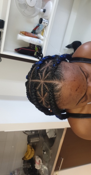 salon de coiffure afro tresse tresses box braids crochet braids vanilles tissages paris 75 77 78 91 92 93 94 95 BNMBSIFN