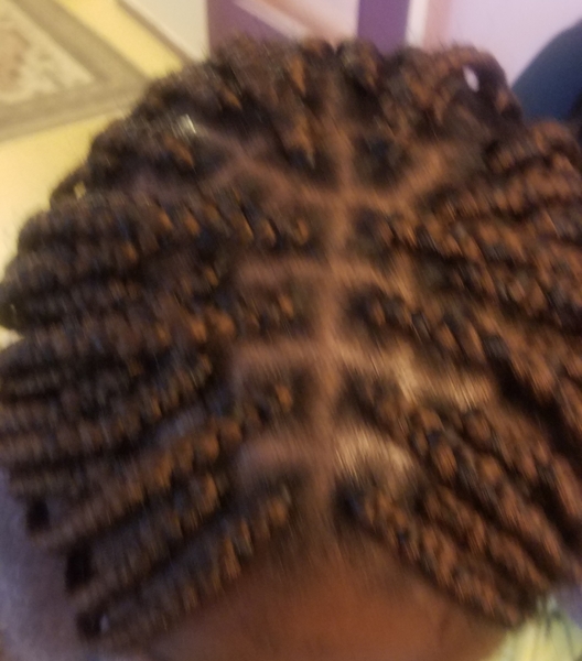 salon de coiffure afro tresse tresses box braids crochet braids vanilles tissages paris 75 77 78 91 92 93 94 95 SVTYCWDU