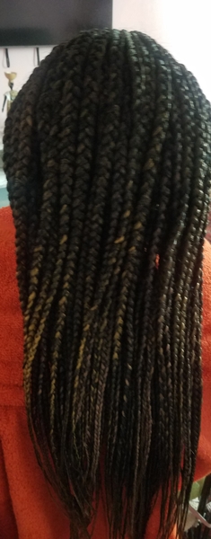 salon de coiffure afro tresse tresses box braids crochet braids vanilles tissages paris 75 77 78 91 92 93 94 95 EZZJJGXM