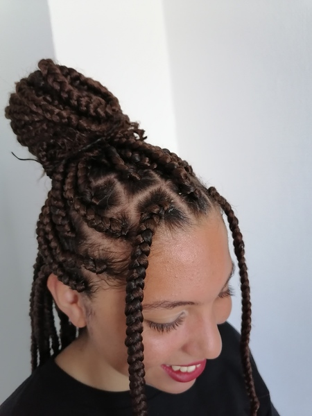 salon de coiffure afro tresse tresses box braids crochet braids vanilles tissages paris 75 77 78 91 92 93 94 95 SQASWANV