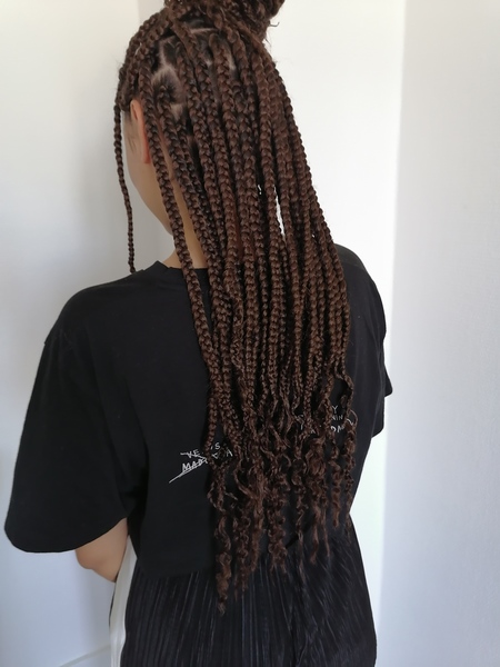 salon de coiffure afro tresse tresses box braids crochet braids vanilles tissages paris 75 77 78 91 92 93 94 95 TFRLTOBR