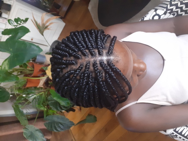 salon de coiffure afro tresse tresses box braids crochet braids vanilles tissages paris 75 77 78 91 92 93 94 95 LQFYRMEM