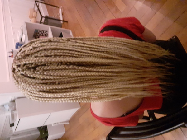 salon de coiffure afro tresse tresses box braids crochet braids vanilles tissages paris 75 77 78 91 92 93 94 95 ZKSELBBU