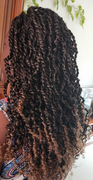 salon de coiffure afro tresse tresses box braids crochet braids vanilles tissages paris 75 77 78 91 92 93 94 95 FQCAHKRH