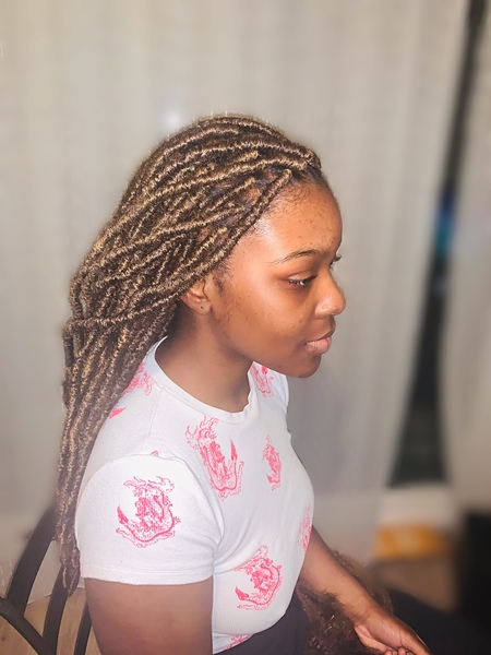 salon de coiffure afro tresse tresses box braids crochet braids vanilles tissages paris 75 77 78 91 92 93 94 95 SVYHSHYY