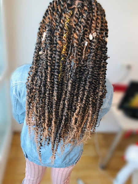 salon de coiffure afro tresse tresses box braids crochet braids vanilles tissages paris 75 77 78 91 92 93 94 95 XAVTDHDX