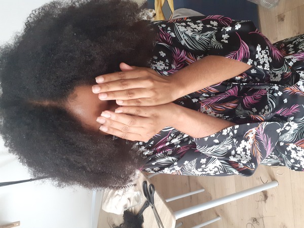 salon de coiffure afro tresse tresses box braids crochet braids vanilles tissages paris 75 77 78 91 92 93 94 95 TCSICJNO
