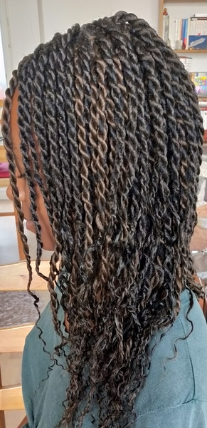 salon de coiffure afro tresse tresses box braids crochet braids vanilles tissages paris 75 77 78 91 92 93 94 95 UJKNSDAF