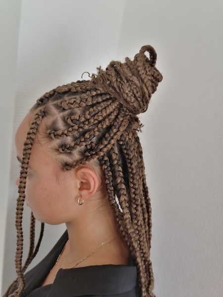 salon de coiffure afro tresse tresses box braids crochet braids vanilles tissages paris 75 77 78 91 92 93 94 95 OYZUTEVM