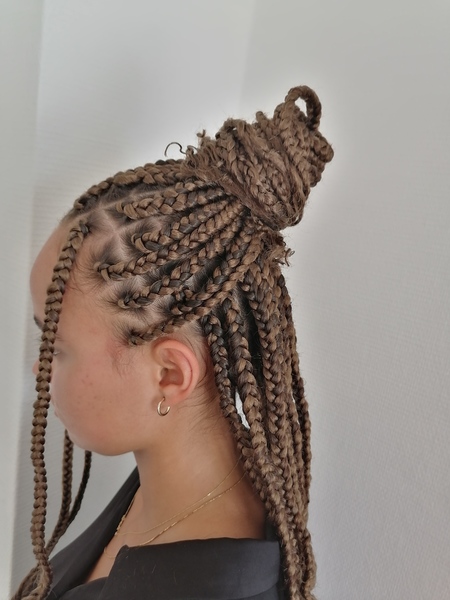 salon de coiffure afro tresse tresses box braids crochet braids vanilles tissages paris 75 77 78 91 92 93 94 95 IRMDALXC