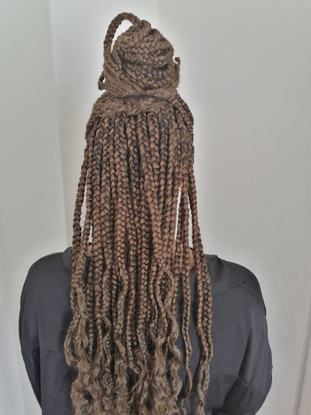 salon de coiffure afro tresse tresses box braids crochet braids vanilles tissages paris 75 77 78 91 92 93 94 95 WGFFPGML