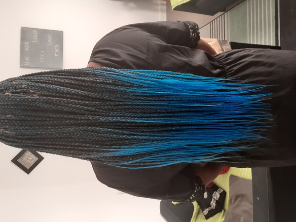 salon de coiffure afro tresse tresses box braids crochet braids vanilles tissages paris 75 77 78 91 92 93 94 95 LQDCHAPP