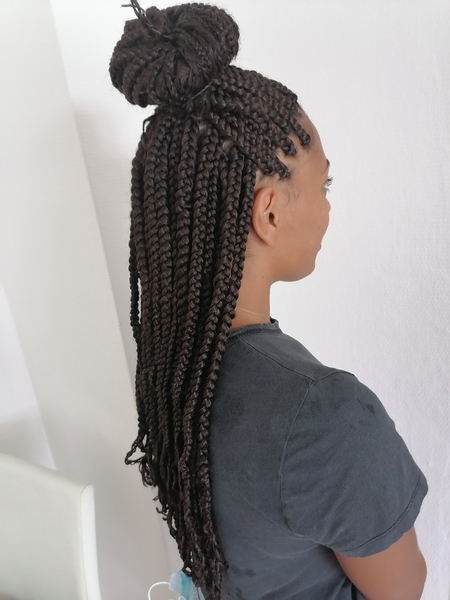 salon de coiffure afro tresse tresses box braids crochet braids vanilles tissages paris 75 77 78 91 92 93 94 95 BJRPDODT