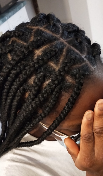salon de coiffure afro tresse tresses box braids crochet braids vanilles tissages paris 75 77 78 91 92 93 94 95 NRGMUISL