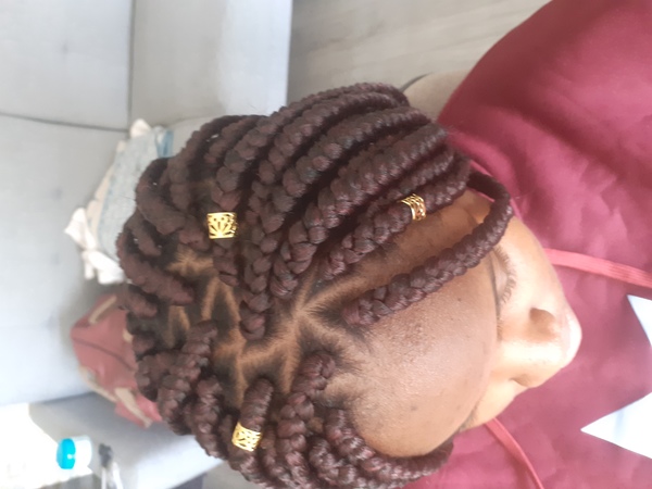 salon de coiffure afro tresse tresses box braids crochet braids vanilles tissages paris 75 77 78 91 92 93 94 95 FDFNSFSM