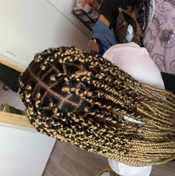 salon de coiffure afro tresse tresses box braids crochet braids vanilles tissages paris 75 77 78 91 92 93 94 95 AGZAOOGP