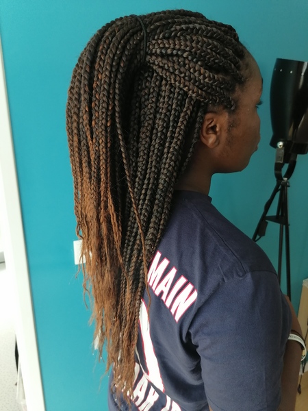 salon de coiffure afro tresse tresses box braids crochet braids vanilles tissages paris 75 77 78 91 92 93 94 95 CXTWJPOB