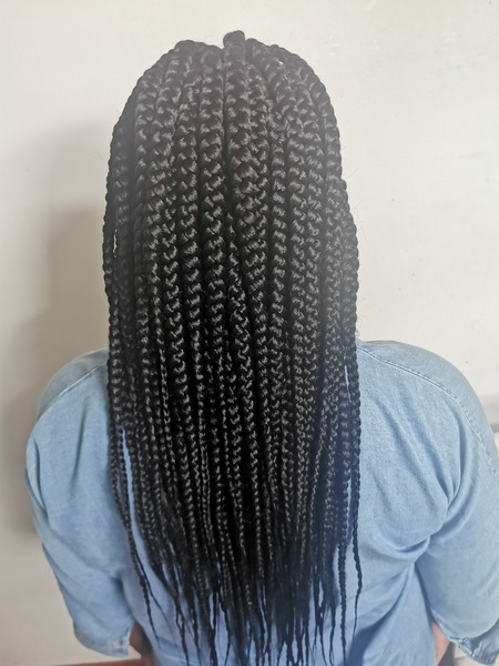 salon de coiffure afro tresse tresses box braids crochet braids vanilles tissages paris 75 77 78 91 92 93 94 95 BOZCSGGO