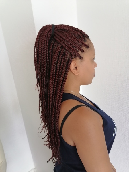 salon de coiffure afro tresse tresses box braids crochet braids vanilles tissages paris 75 77 78 91 92 93 94 95 MJYJKADS