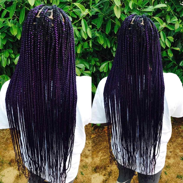 salon de coiffure afro tresse tresses box braids crochet braids vanilles tissages paris 75 77 78 91 92 93 94 95 OLLVLSTQ