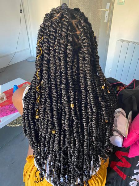 salon de coiffure afro tresse tresses box braids crochet braids vanilles tissages paris 75 77 78 91 92 93 94 95 SHIUQYKV