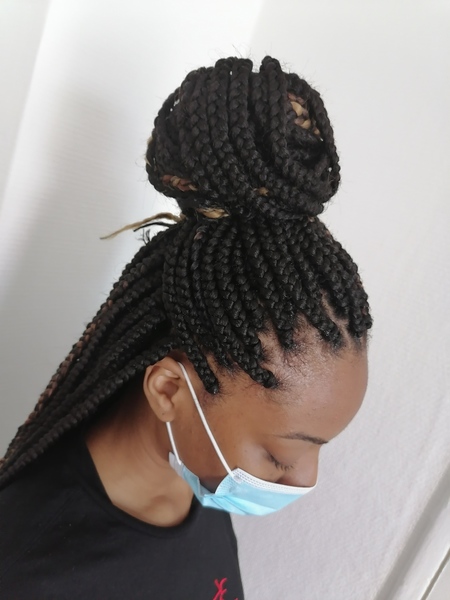 salon de coiffure afro tresse tresses box braids crochet braids vanilles tissages paris 75 77 78 91 92 93 94 95 WVHDATMJ