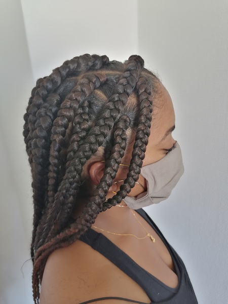 salon de coiffure afro tresse tresses box braids crochet braids vanilles tissages paris 75 77 78 91 92 93 94 95 OZXCGSMM