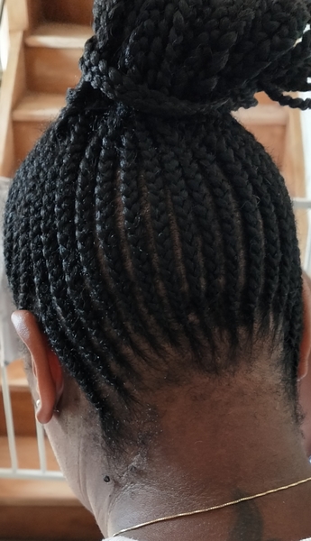 salon de coiffure afro tresse tresses box braids crochet braids vanilles tissages paris 75 77 78 91 92 93 94 95 TCAFNOSW