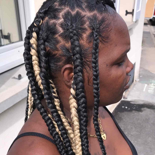 salon de coiffure afro tresse tresses box braids crochet braids vanilles tissages paris 75 77 78 91 92 93 94 95 TNCSYUYT