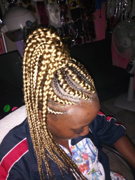 salon de coiffure afro tresse tresses box braids crochet braids vanilles tissages paris 75 77 78 91 92 93 94 95 HCXKIURV