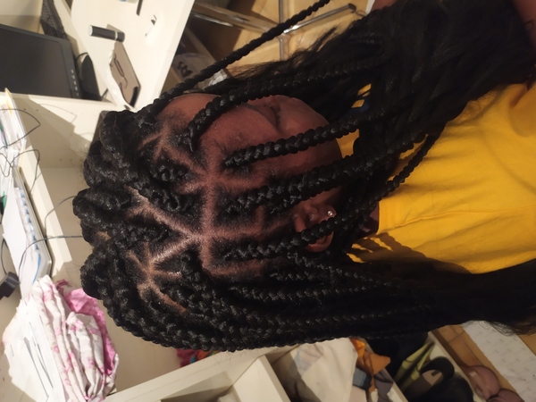 salon de coiffure afro tresse tresses box braids crochet braids vanilles tissages paris 75 77 78 91 92 93 94 95 NEFLWESB