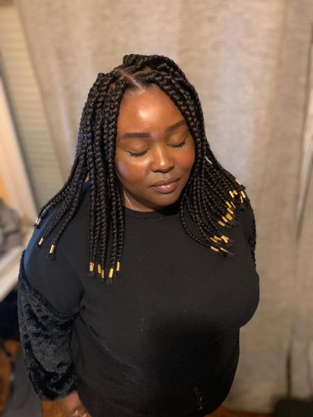 salon de coiffure afro tresse tresses box braids crochet braids vanilles tissages paris 75 77 78 91 92 93 94 95 CWDOPUEF
