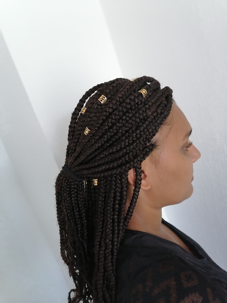 salon de coiffure afro tresse tresses box braids crochet braids vanilles tissages paris 75 77 78 91 92 93 94 95 DIGSPMIF