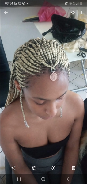 salon de coiffure afro tresse tresses box braids crochet braids vanilles tissages paris 75 77 78 91 92 93 94 95 ZFVGBJMI