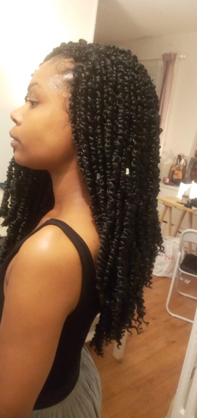 salon de coiffure afro tresse tresses box braids crochet braids vanilles tissages paris 75 77 78 91 92 93 94 95 ESYZRUXP