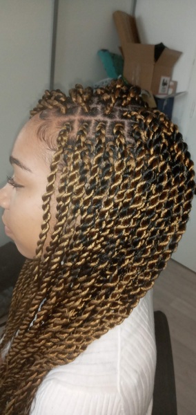 salon de coiffure afro tresse tresses box braids crochet braids vanilles tissages paris 75 77 78 91 92 93 94 95 FBOXTOEC