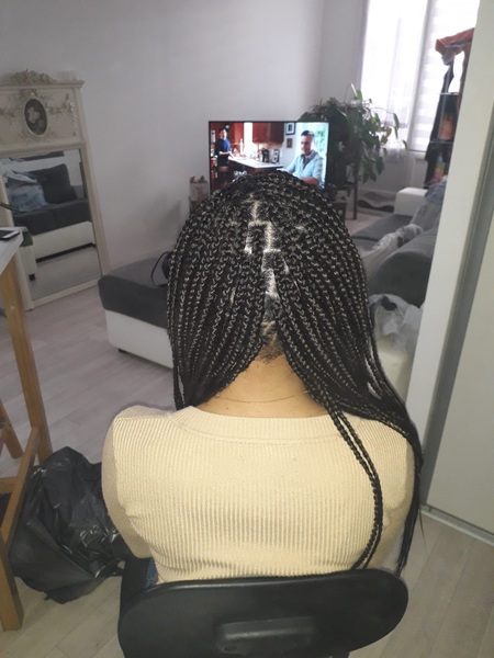 salon de coiffure afro tresse tresses box braids crochet braids vanilles tissages paris 75 77 78 91 92 93 94 95 KTNIUKMY