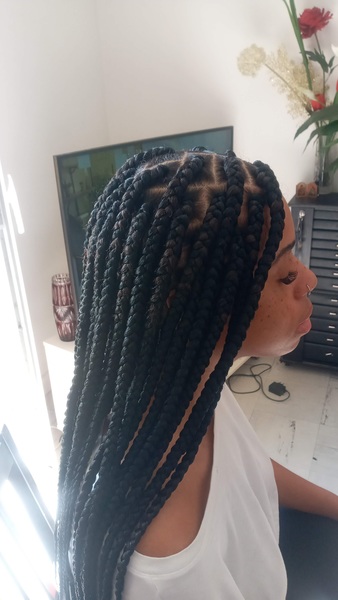 salon de coiffure afro tresse tresses box braids crochet braids vanilles tissages paris 75 77 78 91 92 93 94 95 ZYAZGMGU
