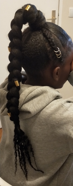 salon de coiffure afro tresse tresses box braids crochet braids vanilles tissages paris 75 77 78 91 92 93 94 95 THSFUEJD
