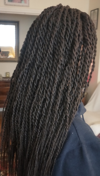 salon de coiffure afro tresse tresses box braids crochet braids vanilles tissages paris 75 77 78 91 92 93 94 95 NLJHKNKB