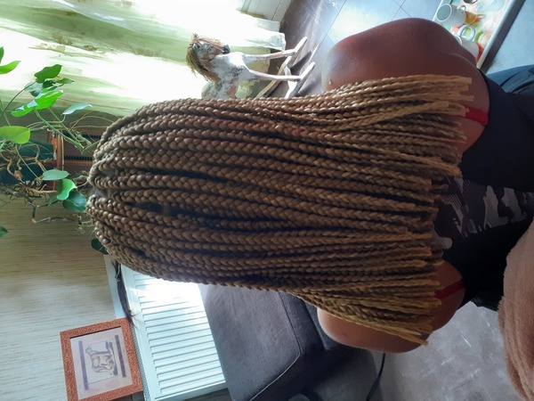 salon de coiffure afro tresse tresses box braids crochet braids vanilles tissages paris 75 77 78 91 92 93 94 95 DMDAUEAJ