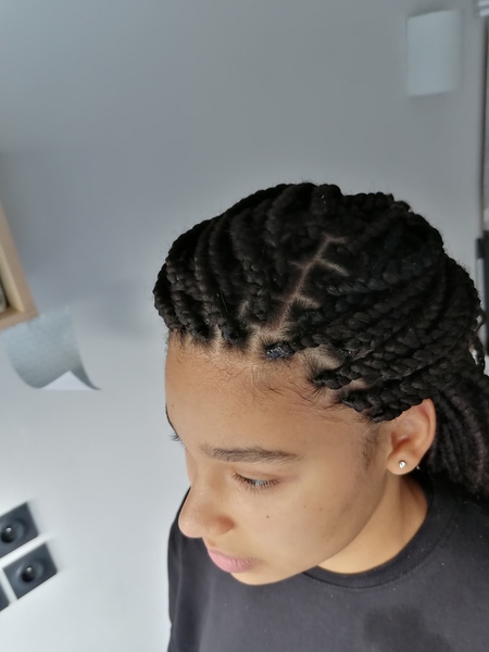 salon de coiffure afro tresse tresses box braids crochet braids vanilles tissages paris 75 77 78 91 92 93 94 95 BPAVCYJY