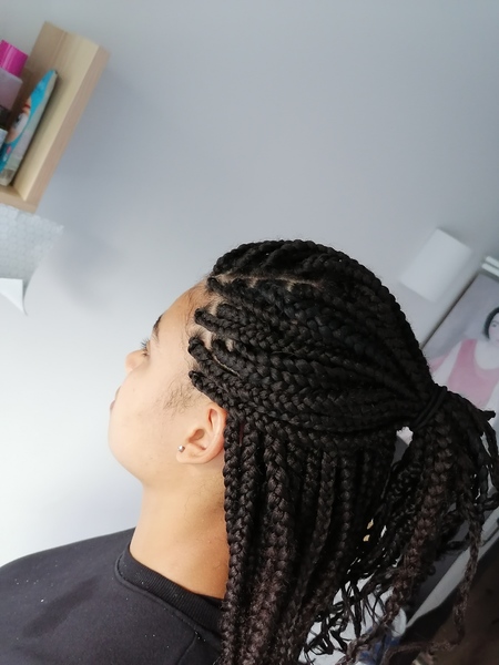 salon de coiffure afro tresse tresses box braids crochet braids vanilles tissages paris 75 77 78 91 92 93 94 95 CWCRZBCH