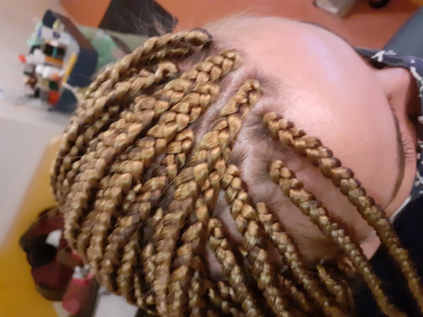 salon de coiffure afro tresse tresses box braids crochet braids vanilles tissages paris 75 77 78 91 92 93 94 95 EPRDIRDP
