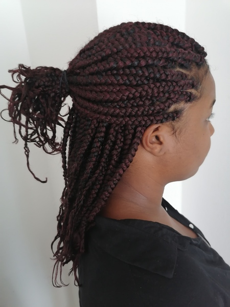 salon de coiffure afro tresse tresses box braids crochet braids vanilles tissages paris 75 77 78 91 92 93 94 95 ZHKMHRPG